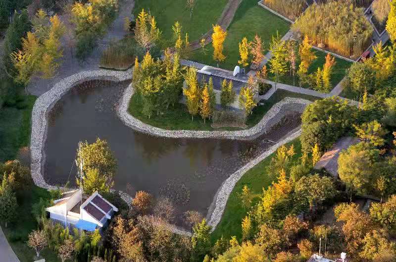 临沂雕塑公园:打造充满民生温度的最美城市公园