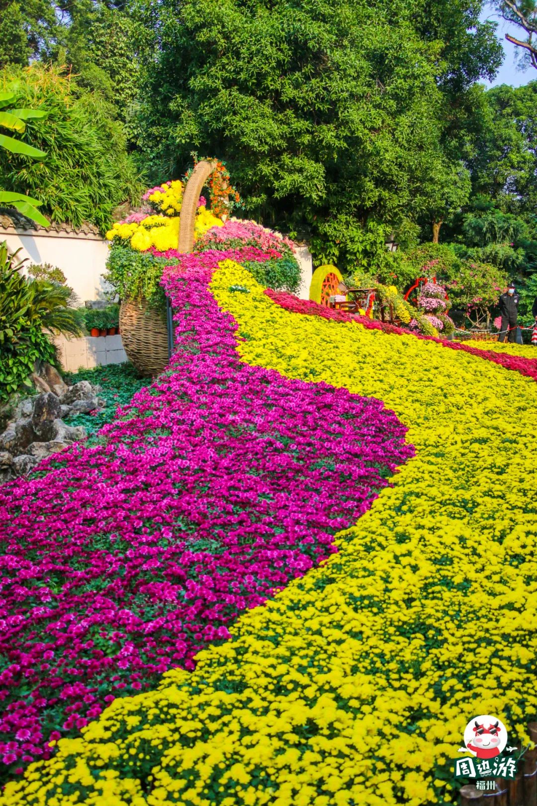 福州菊花展21年还有吗,福州西湖菊花展人山人海