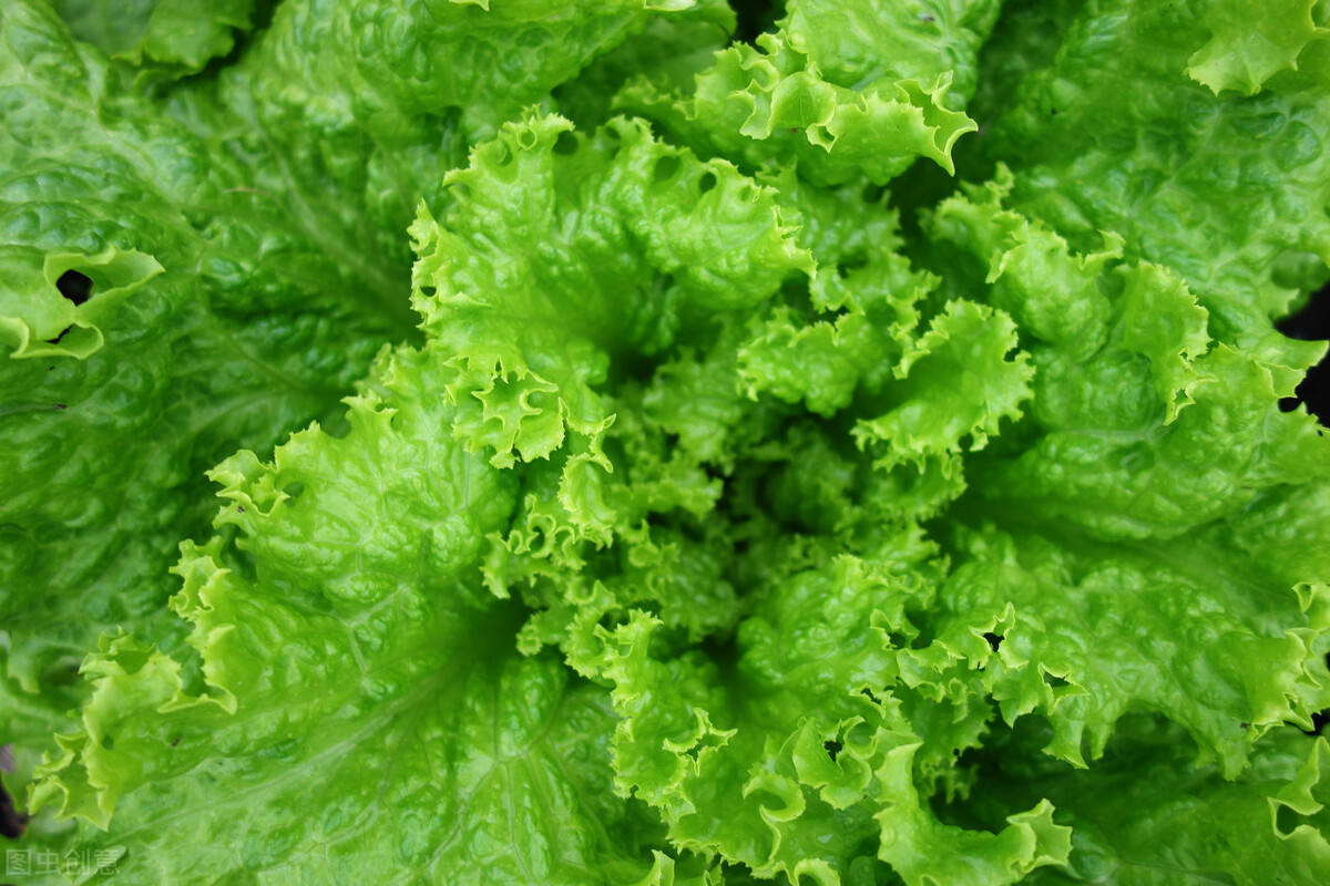 更年期如何调理雌激素,更年期雌激素下降如何解决