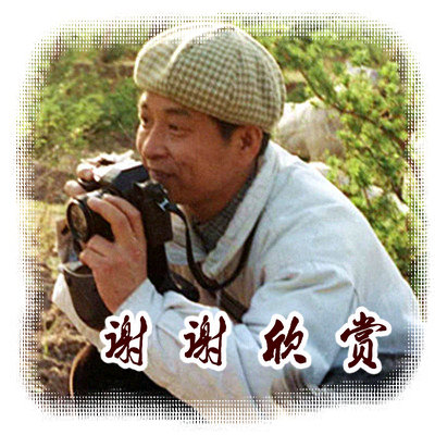 乡恋之歌,乡恋之歌原唱