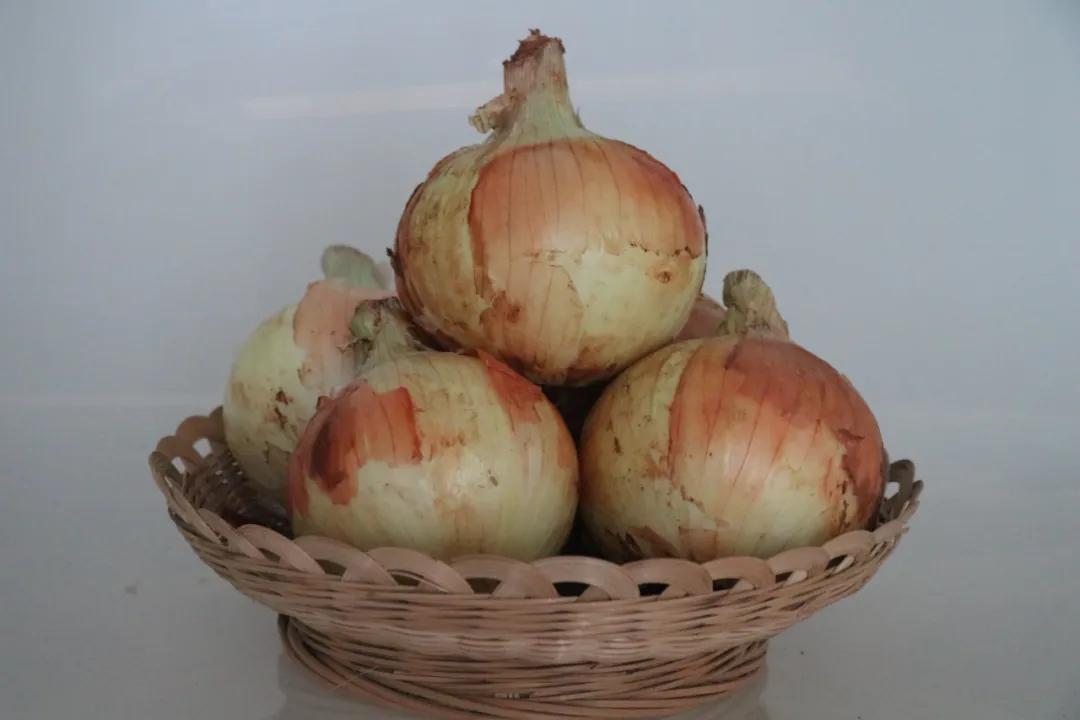 “太大了，立马下锅！”元谋出口级黄皮洋葱已到货，25万吨滞销洋葱等你来拼单！