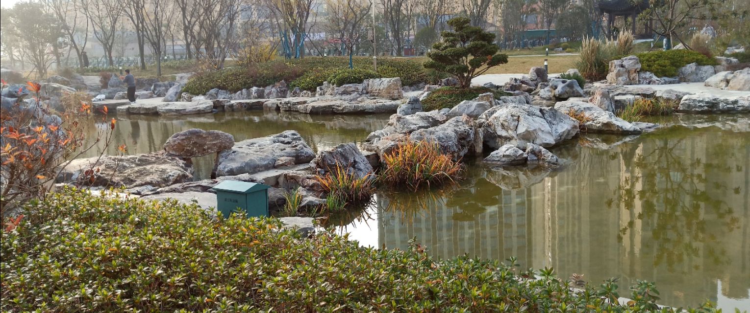 仙林湖游玩,南京仙林湖游玩攻略