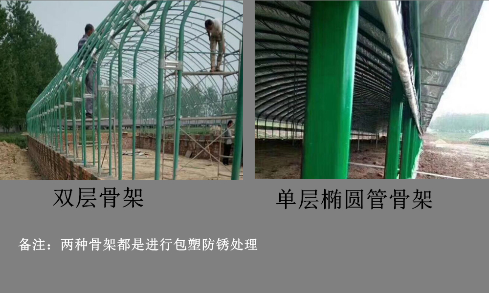 养猪大棚怎么建造比较省钱,养猪大棚建设要点