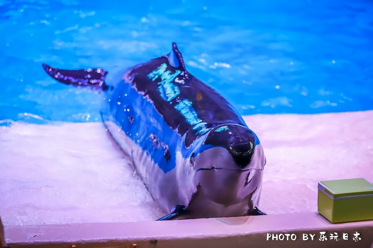 珠海亲子游必玩景点,珠海一日游适合带孩子玩的景点