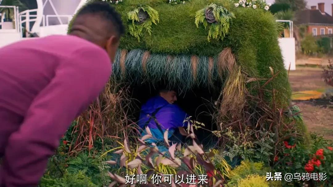 这也能拍出花?网飞又开挂了,每集都让我惊掉下巴