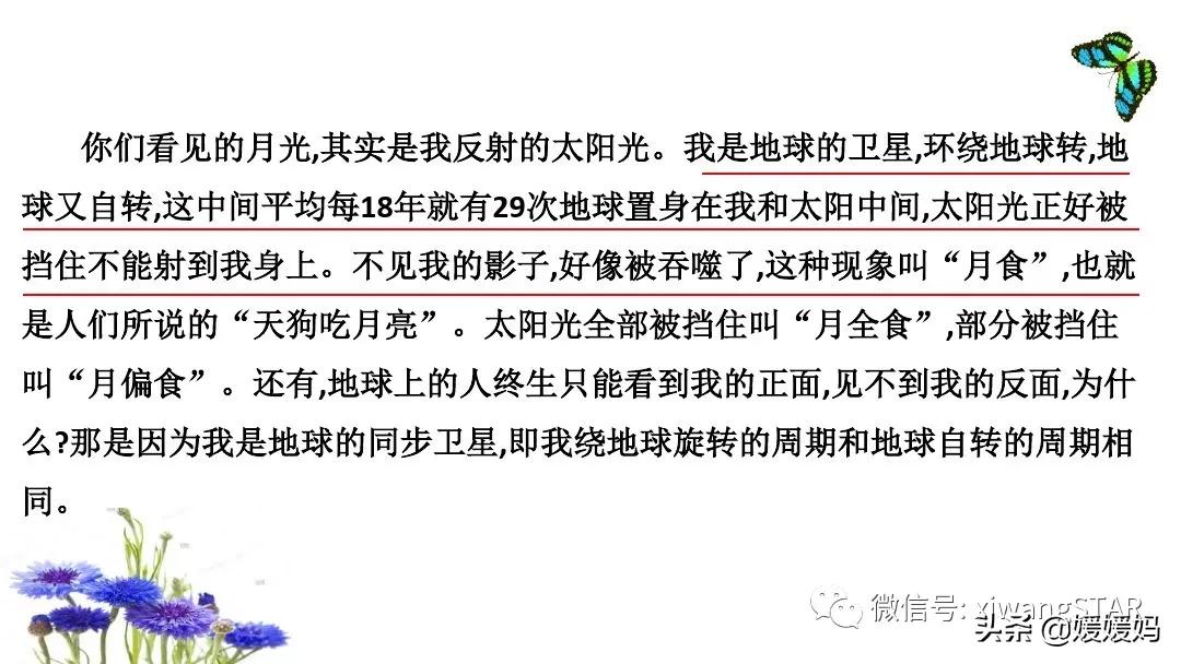部编四年级上册语文期末复习资料,2019-2020四年级下册语文期末试卷