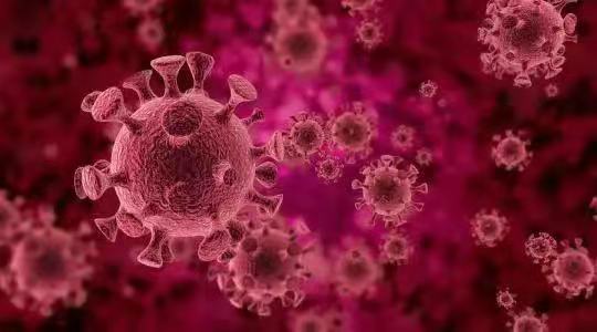 妇产科医生提醒：当您拿到HPV阳性报告单时，先别慌…...