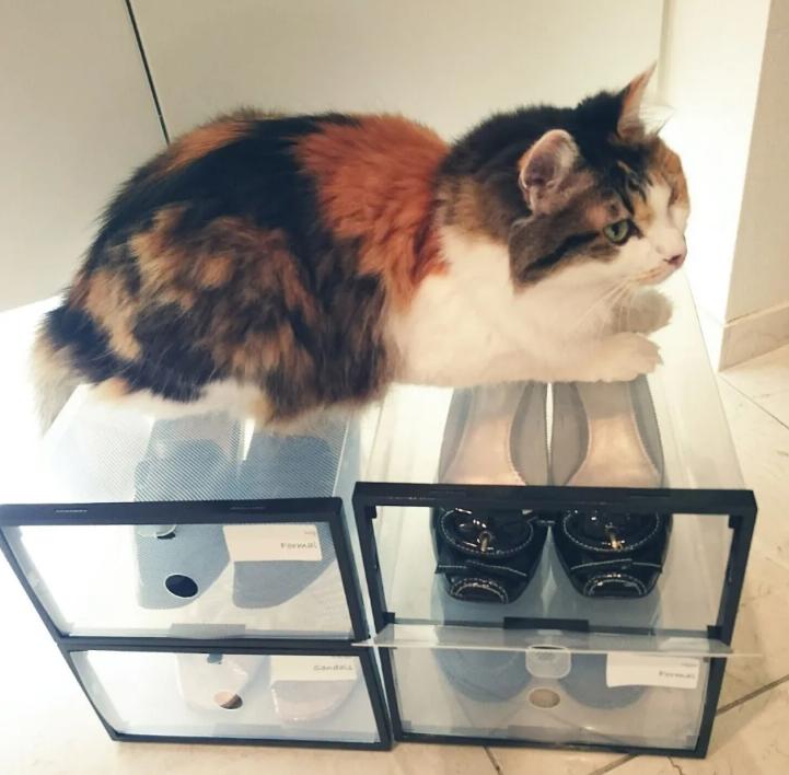 家里不穿的旧衣怎么收纳,小空间换季衣服收纳