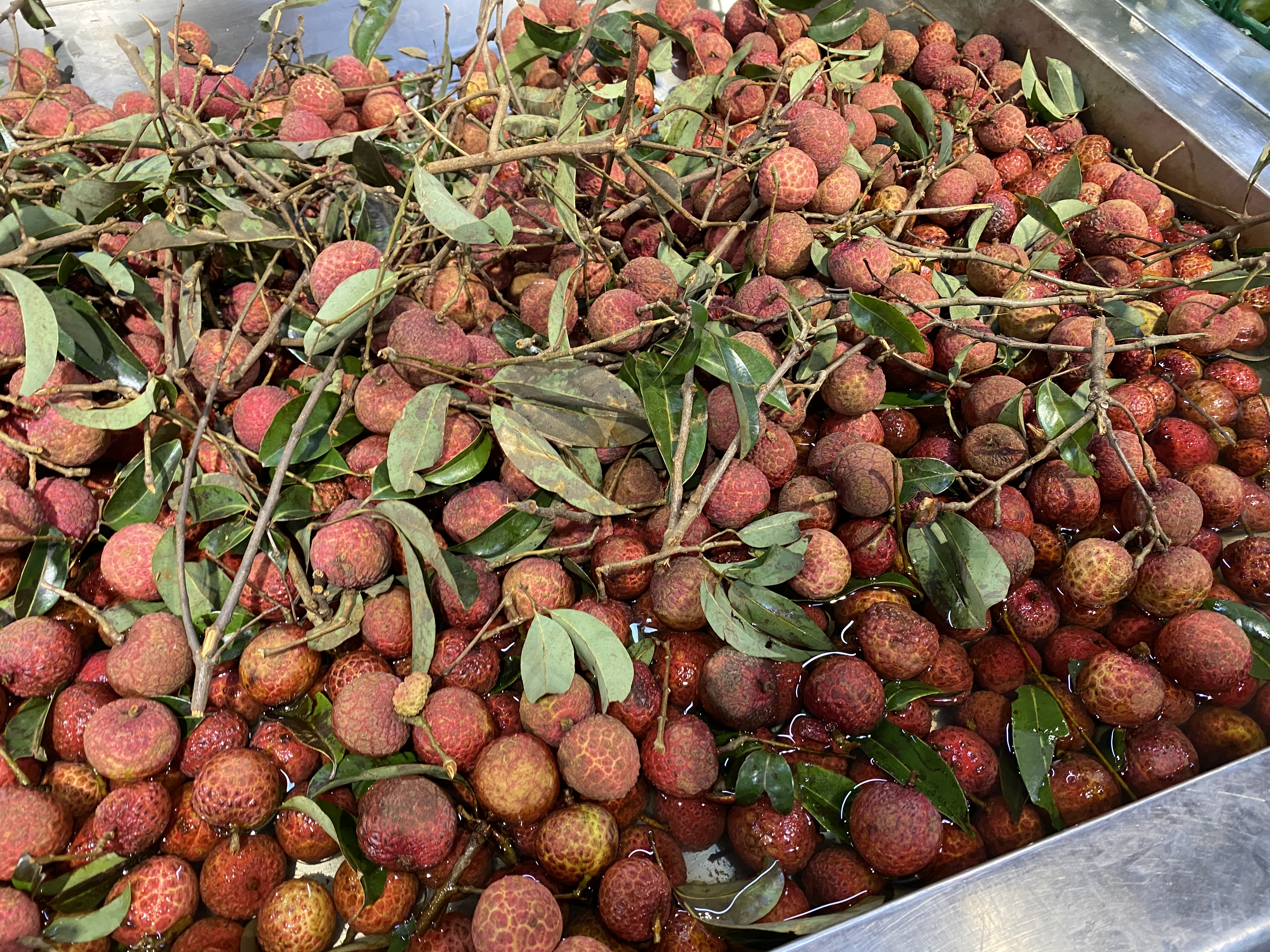 夏季最适合吃的6种水果,夏天这3种水果不宜多吃