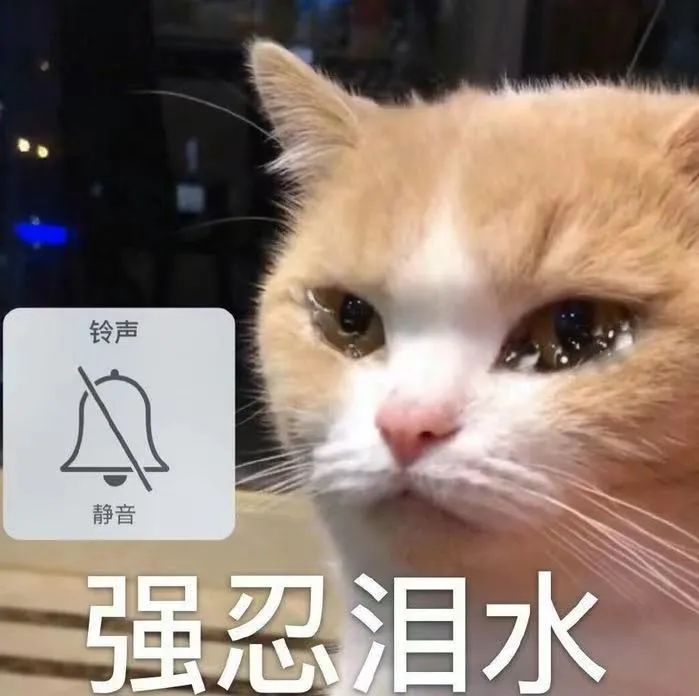 没了耐克匡威就不会买鞋？这4个小众国牌都给我收好