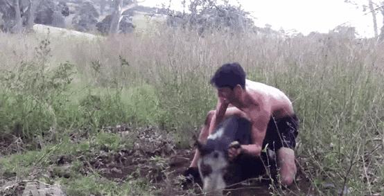 赤手空拳打野兽有用吗,人赤手空拳有可能打过老虎吗