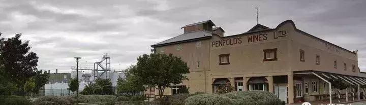 奔富酒真伪,奔富都是假酒吗