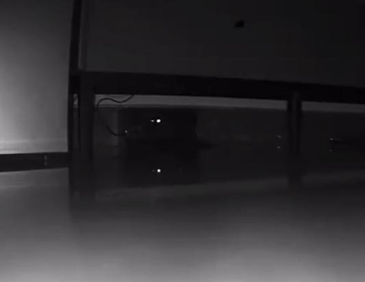 2岁宝宝扫地机器人,5000元内扫地机器人测评排行