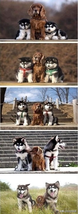 26张活久见的图片看完又涨知识了,42张照片大图