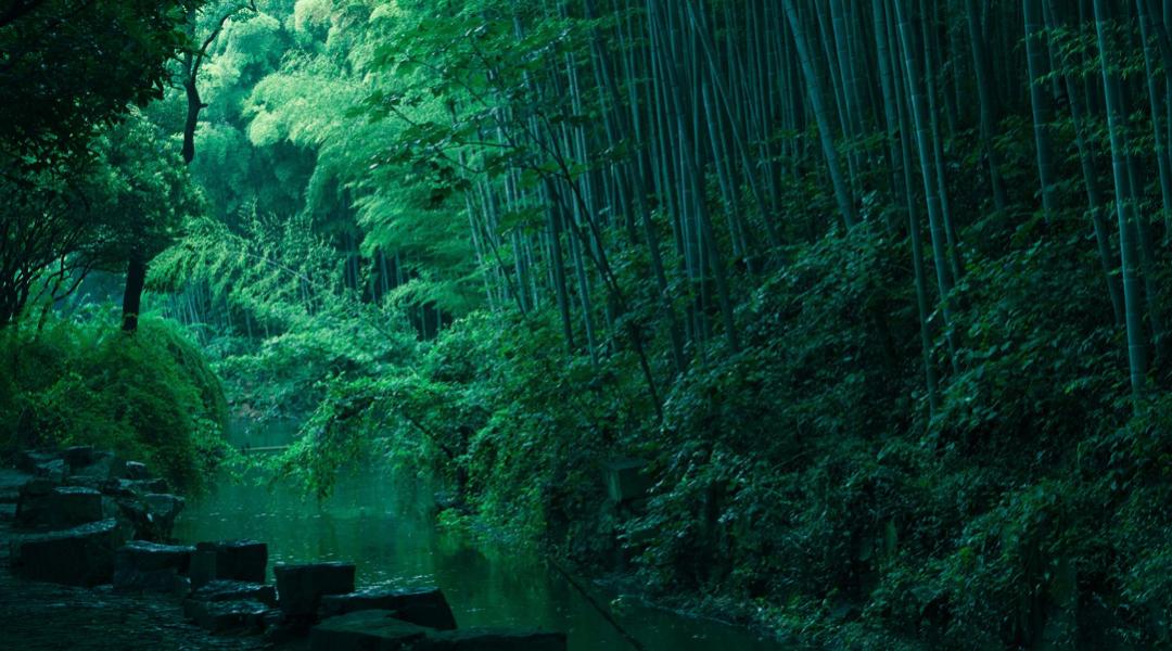 诗词欣赏诗词中的夏天,关于夏天的经典古诗词欣赏