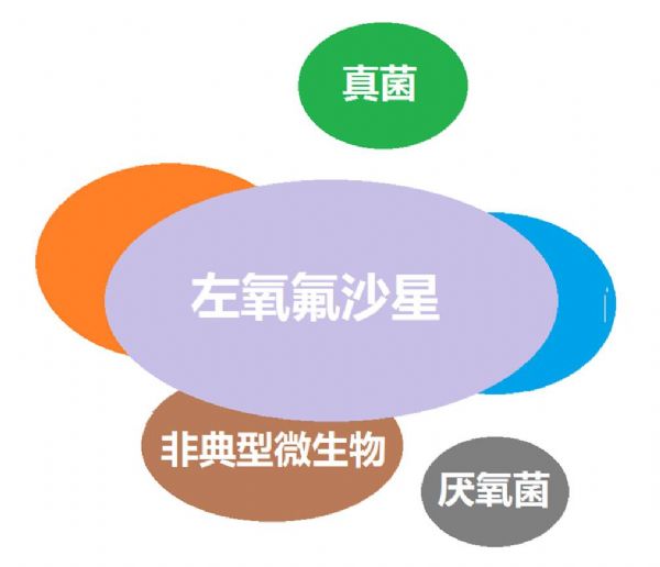 看图“话”抗菌谱，赶紧收藏