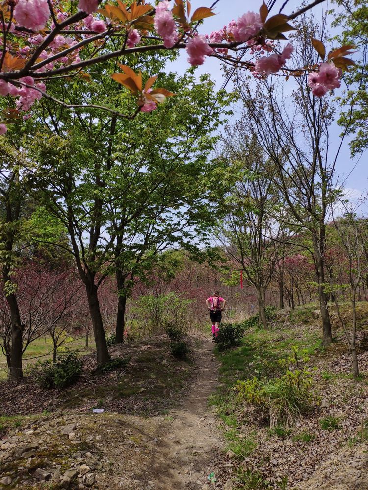 2020年江南100英里越野赛,江南100越野赛选手名单