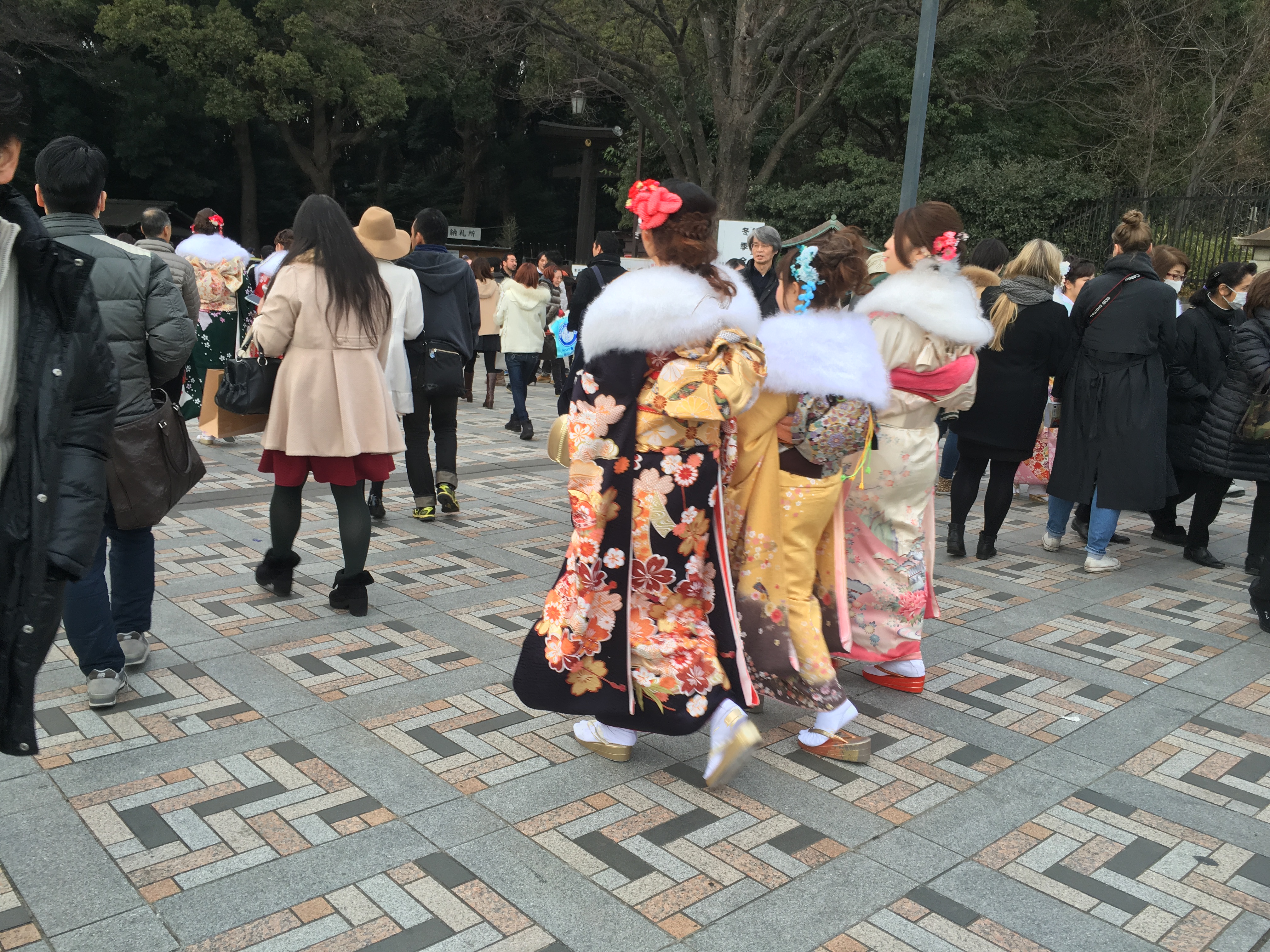 聊一聊在日本上大学是什么体验？