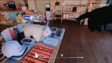 刘·哆啦A梦·昊然,到底还有多少隐藏实力?