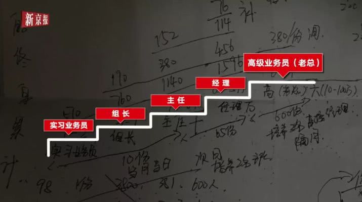 传销套路十大骗局,揭秘最新传销骗局案例