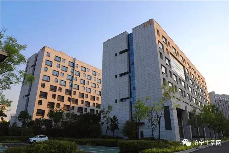 市长发话，济宁发布重大利好消息！惠及济宁800万人！