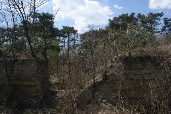 余晖映照出娇艳的晚霞,余晖映衬下美景