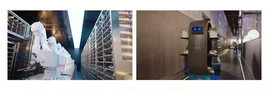 海底捞22年盈利,海底捞到底是亏了还是赚了