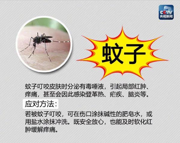 常年在垃圾桶旁边的蛇,垃圾桶里面有一条大蟒蛇