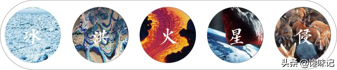 虾：湛江人的认亲标志