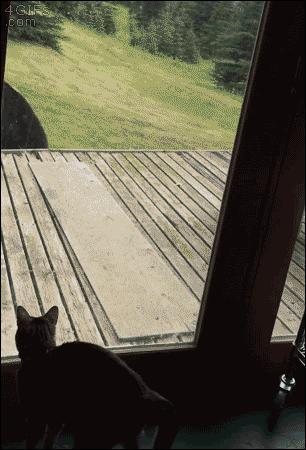 搞笑gif图来袭看一次笑一次,搞笑gif开心一刻