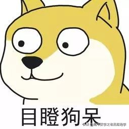 虚数i的深层意义,虚数i是怎么产生的呢