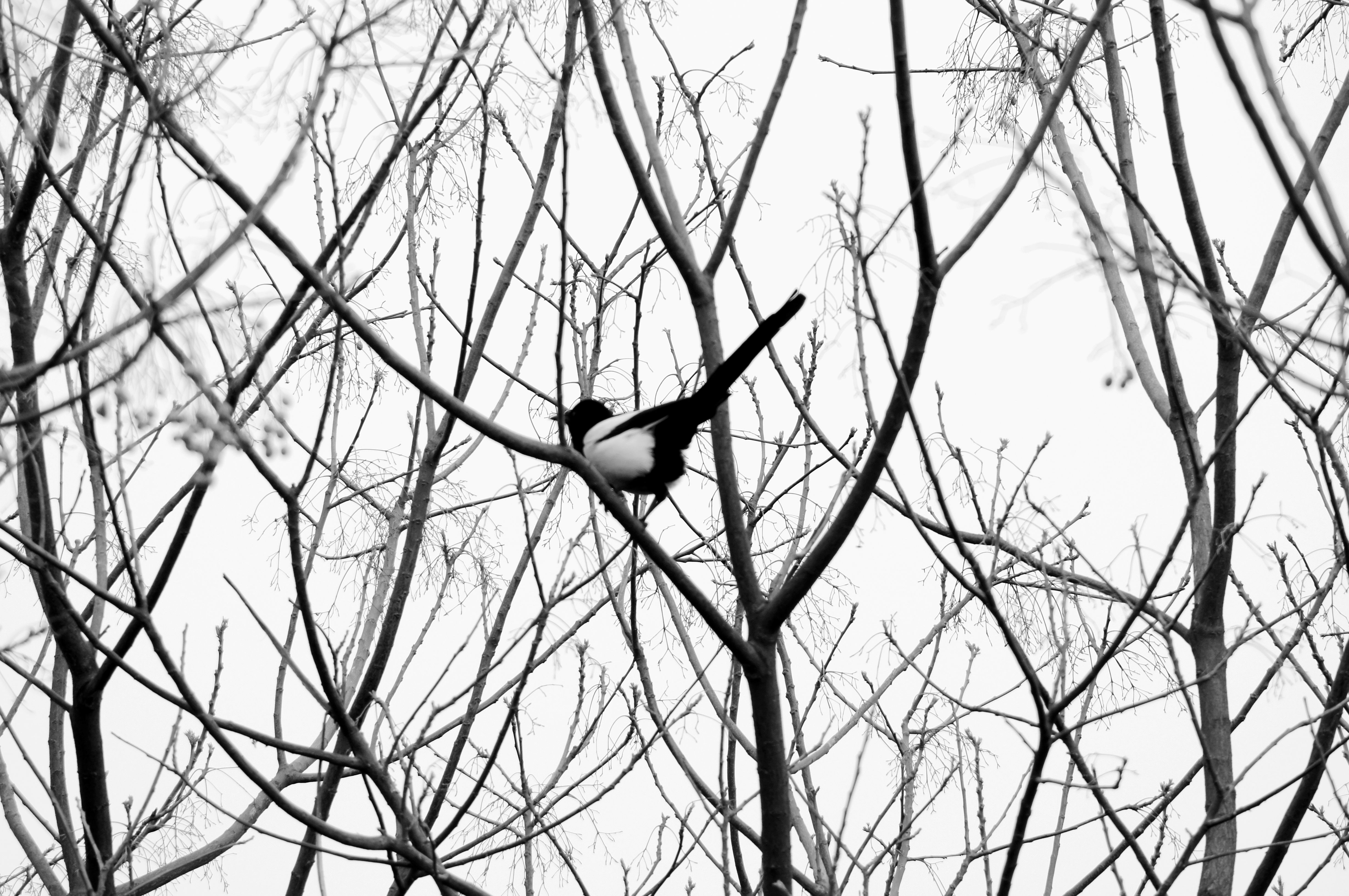 摄影作品创意人像摄影,摄影创作灵感图片