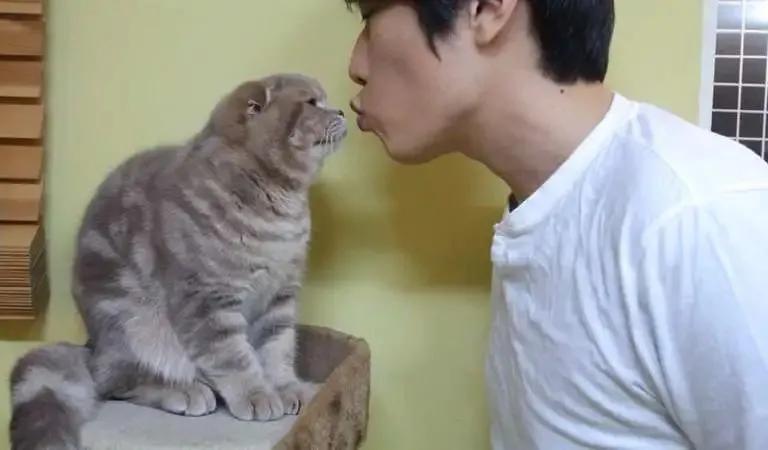 怎么判断猫咪的嘴臭不臭,猫咪的嘴巴到底多臭