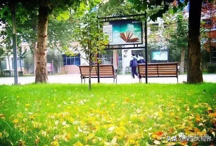 保定重点高中2023招生计划,保定市省级示范性高中最低控制线