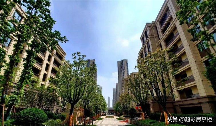 超彩房掌柜,郑州超彩