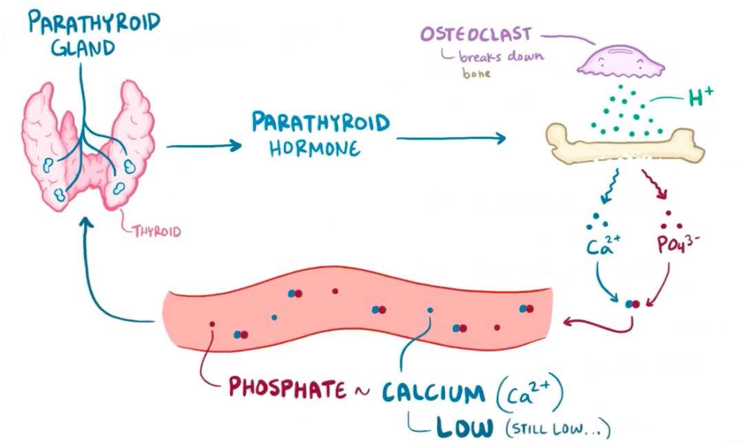 重视再喂养综合征的诊断与治疗