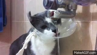 耻辱圈需要一直戴着吗,耻辱圈戴多久可以摘掉