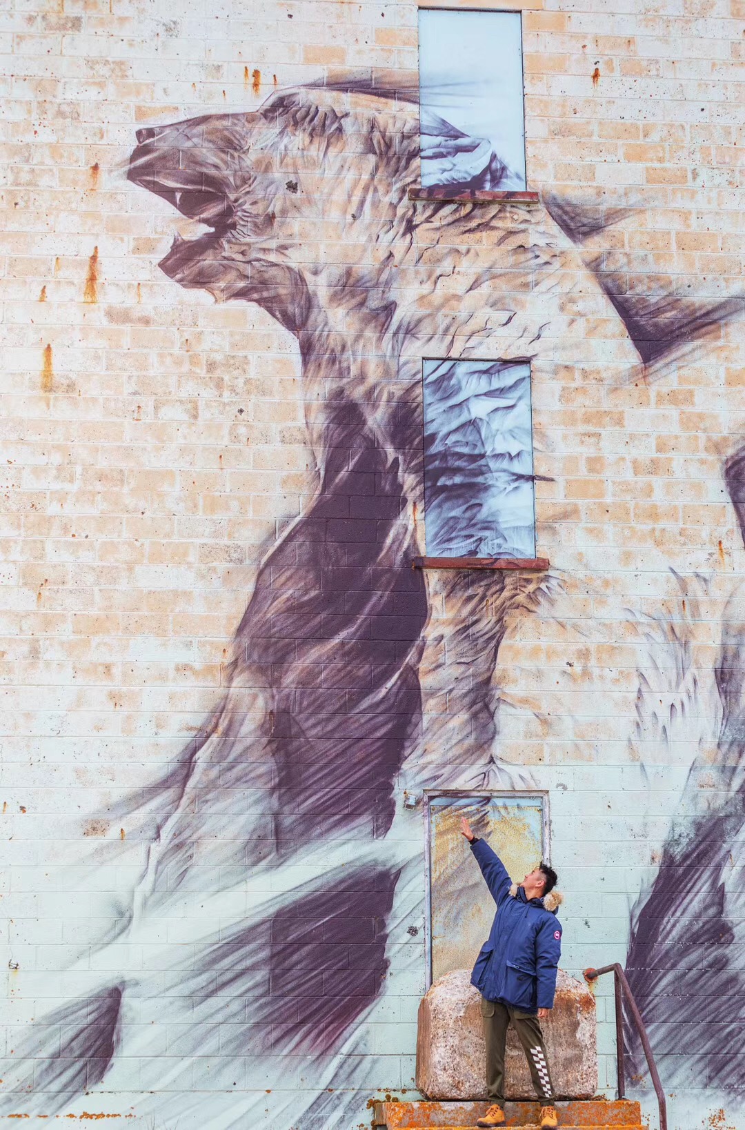 去北极旅游遇到北极熊的几率高吗,去趟北极