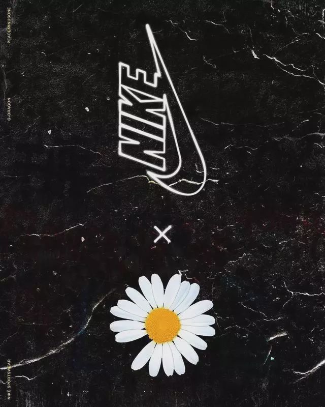 权志龙关于爱情,关于权志龙小雏菊所有资料