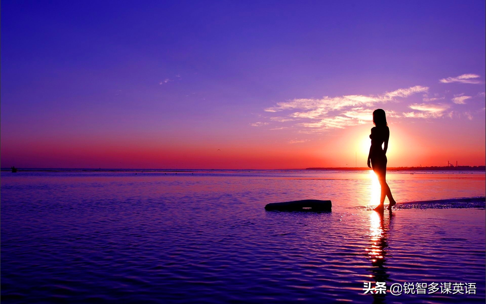 二的英文单词,二年级英文单词