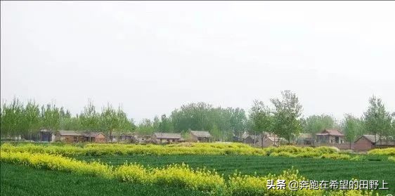 这些暗号你能猜对几个,这些暗号你能答对几个