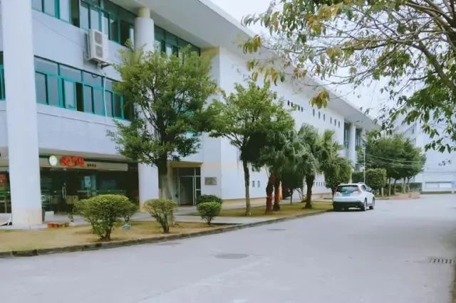 广州科技贸易职业学院招生简章,广州科技贸易职业学院2024年招生