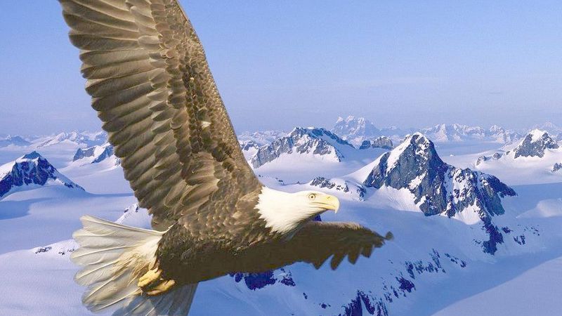 燃灯收服羽翼仙,燃灯道人收服羽翼仙吗