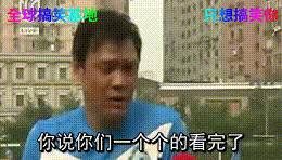 养仓第1步:如何挑选一只健康的仓鼠