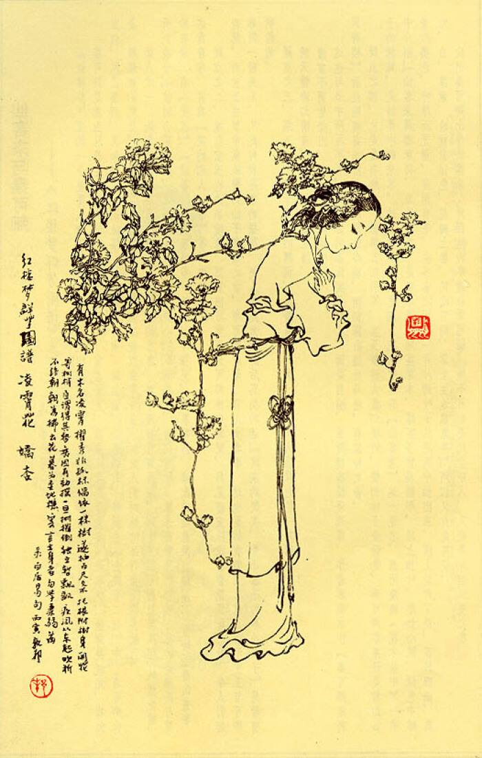 梦解红楼完整版,甄士隐梦幻通灵贾雨村