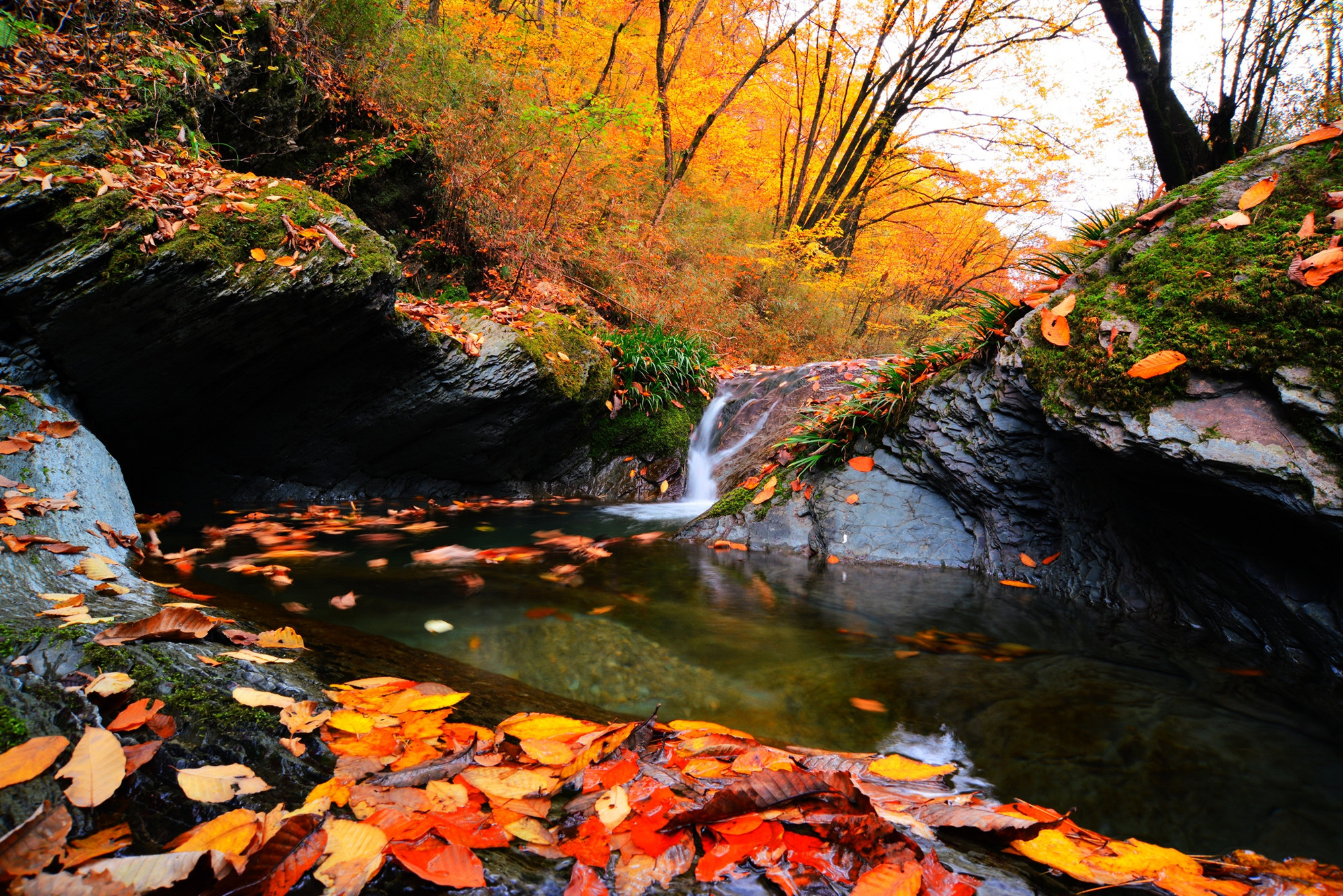 如果你累了就来这座小城吧,如果你累了就来云南吧完整版