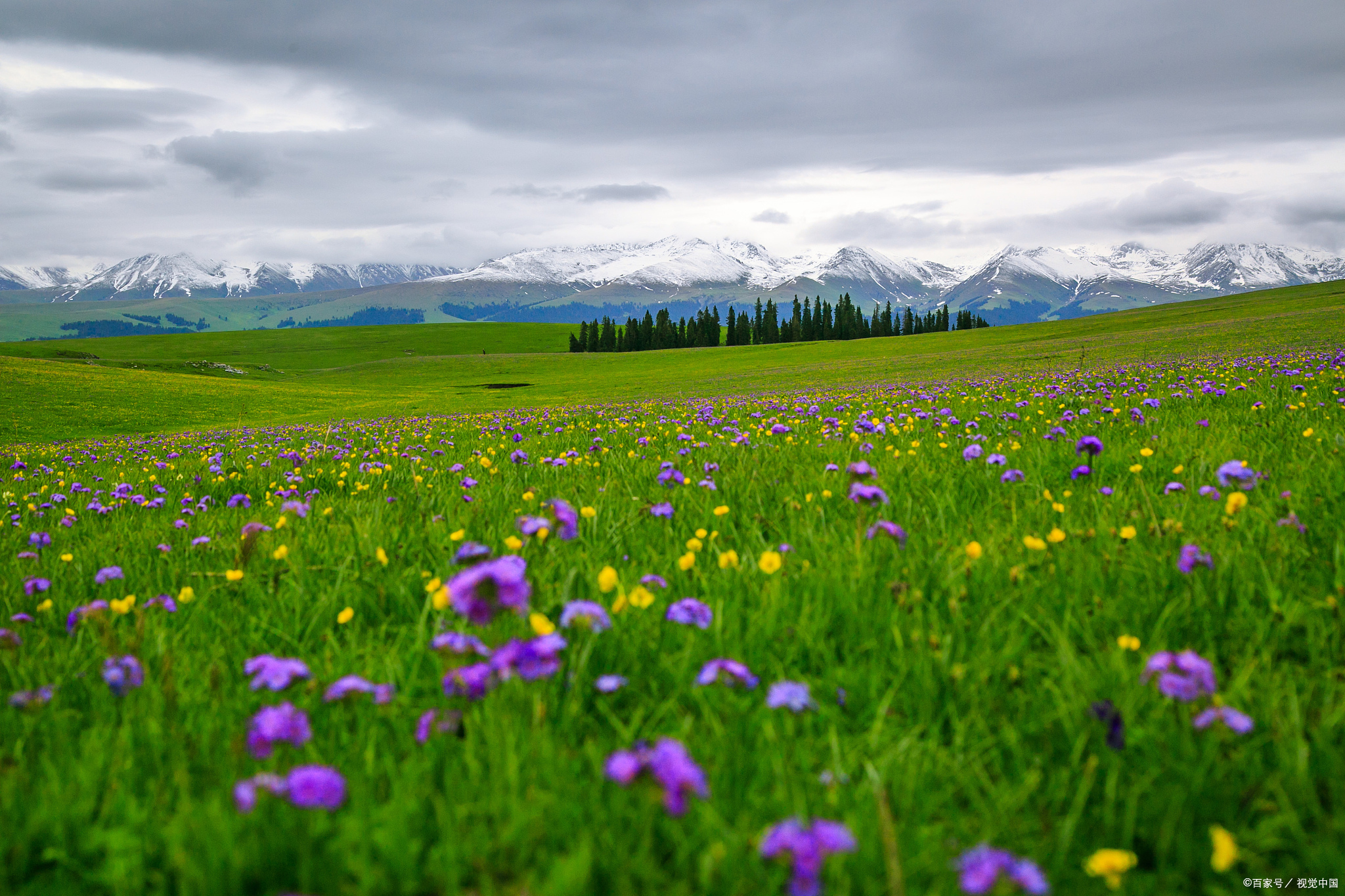 驼奶粉中奶源地重要吗？