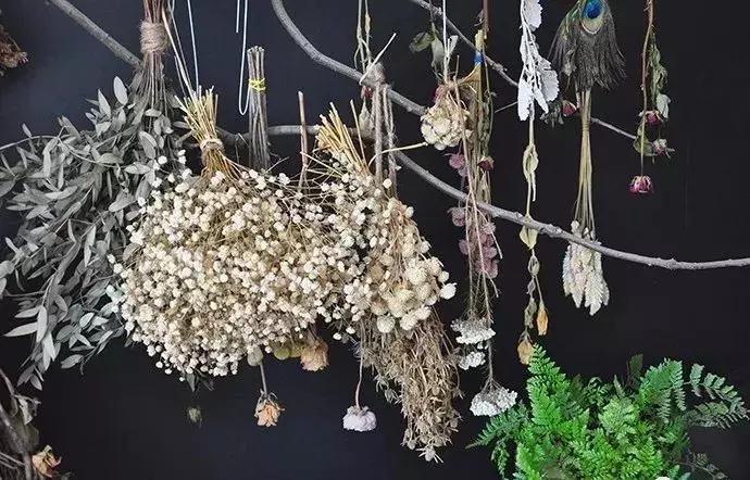 8种能做干花的鲜花,男朋友送的花就这么做
