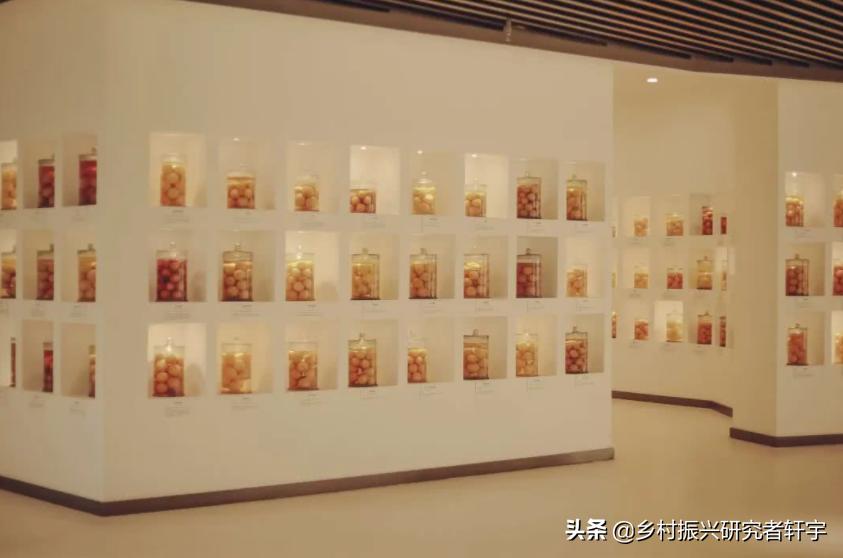 乡村振兴特色产业的重要特征是,乡村振兴一二三产业分别指什么