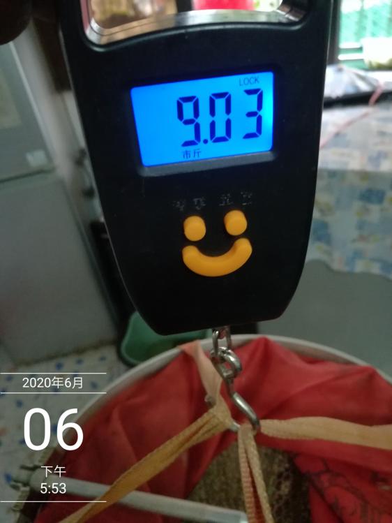 本汀太极黑棍7.2,本汀太极黑棍测试